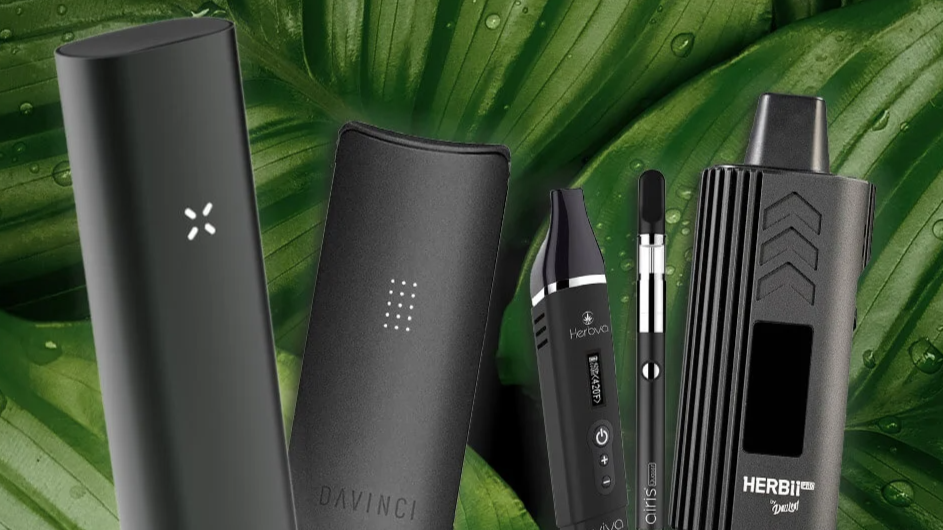 The Top 10 Most Popular Cannabis Tech in the 2020s