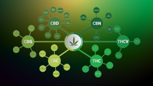 What are Cannabinoids?