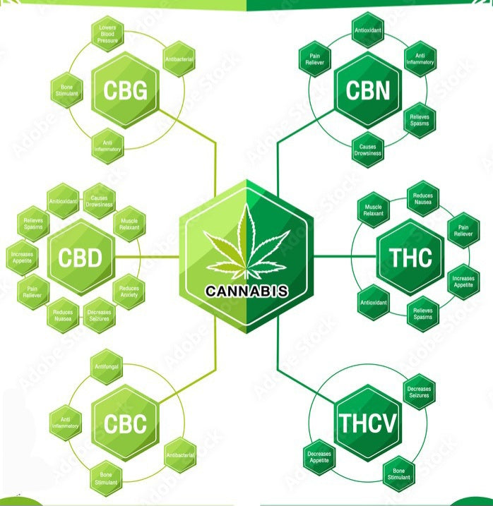 What are Cannabinoids?